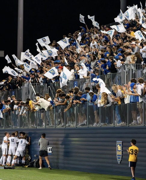 Fondo garantía UDB Sports móvil